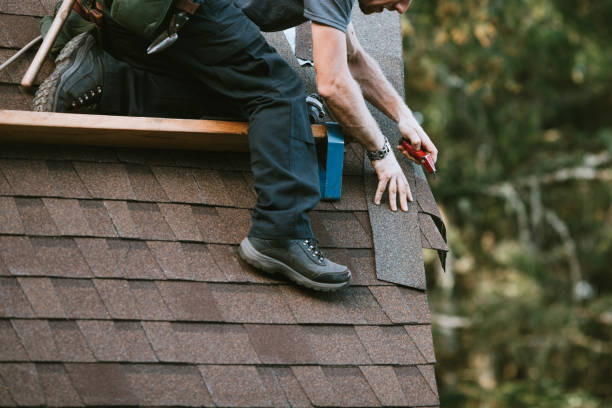 Best Roof Gutter Cleaning  in Marysville, OH
